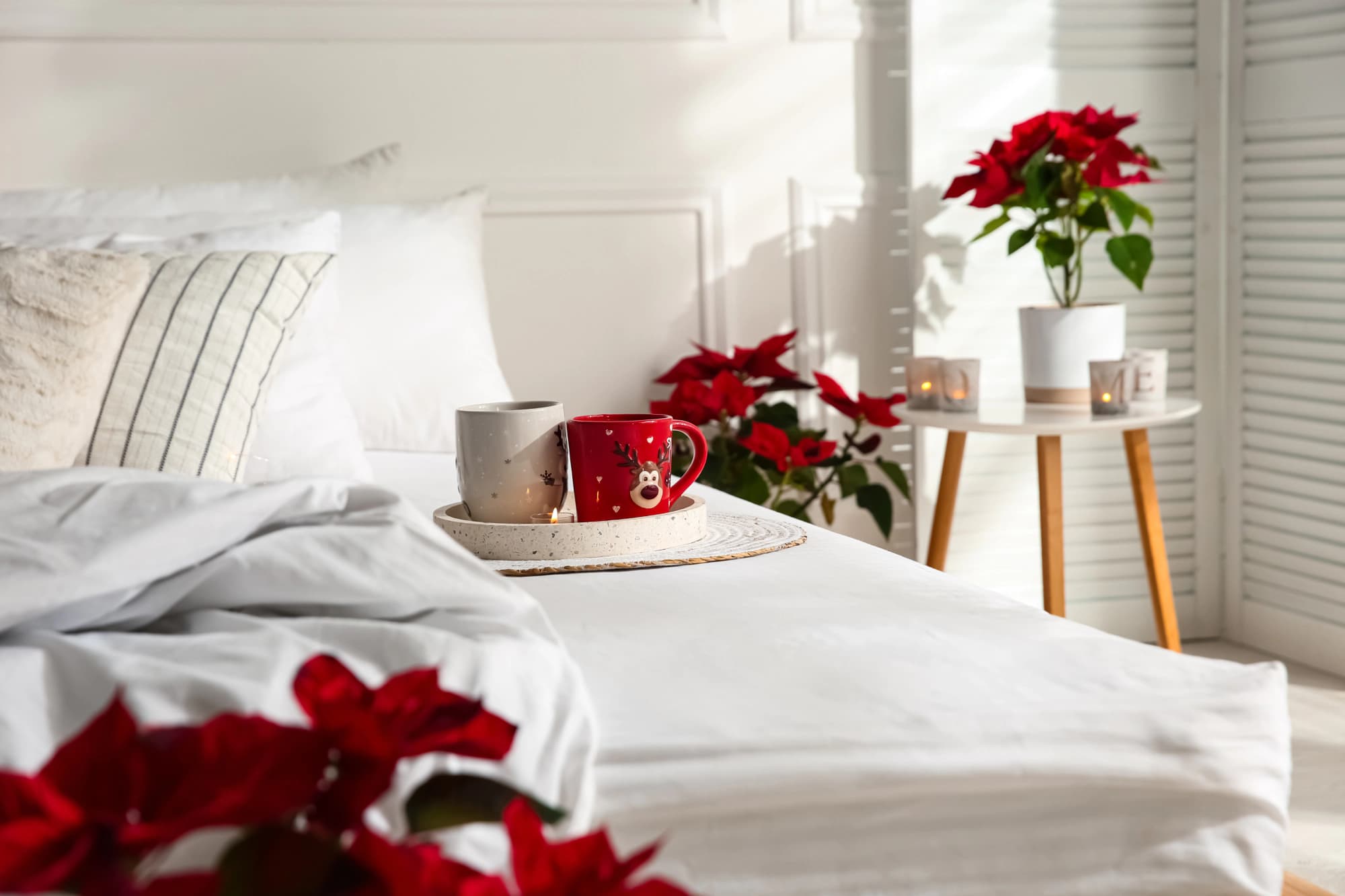 Guest bedroom decorated with poinsettias and holiday mugs.