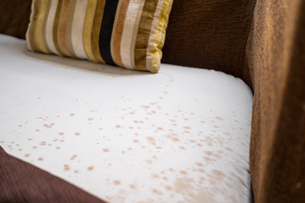 Moisture and mildew building up under mattress